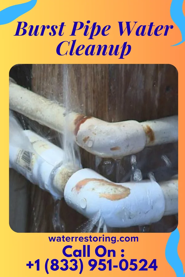 Burst Pipe Water Cleanup in North Liberty, IN