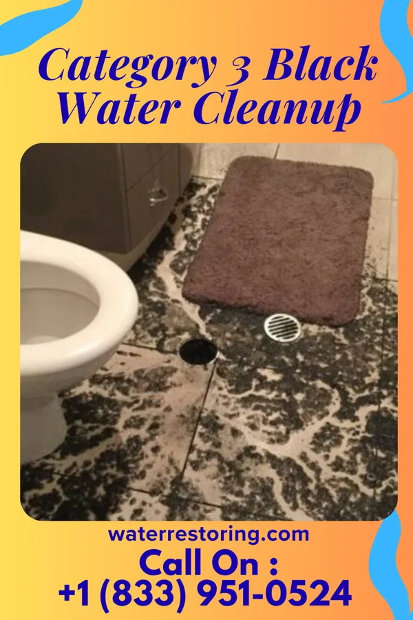 Category 3 Black Water Cleanup in North Liberty, IN