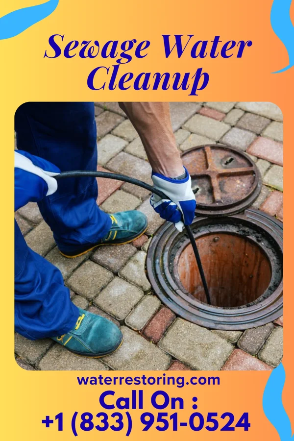 Sewage Water Cleanup in North Liberty, IN
